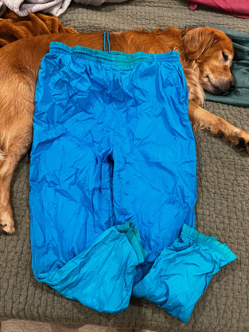 Vintage Casual Isle Blue Track Pant